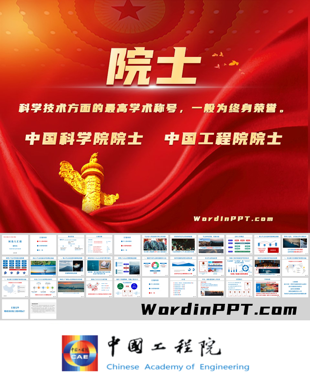 中国工程院院士增选PPT模板下载 - 真实案例改编