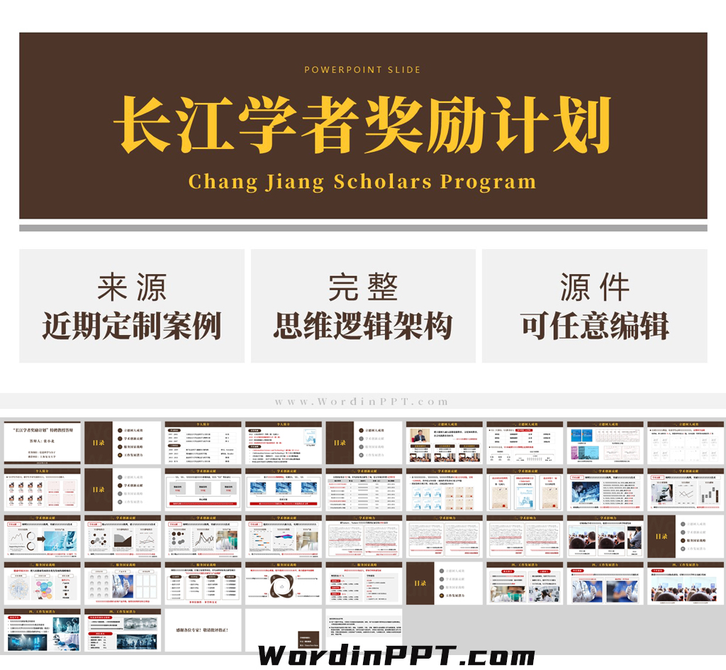 「新」特聘教授答辩 长江学者奖励计划（2024）-定制案例改编