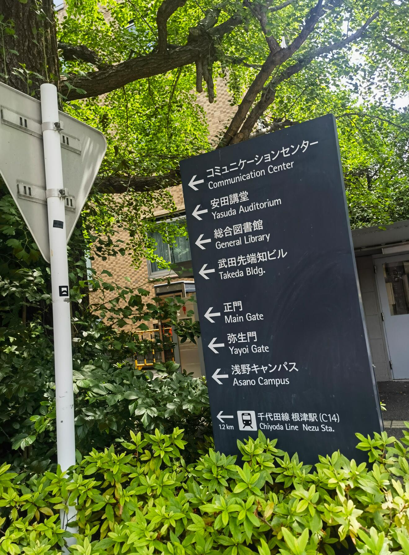 东京大学ppt