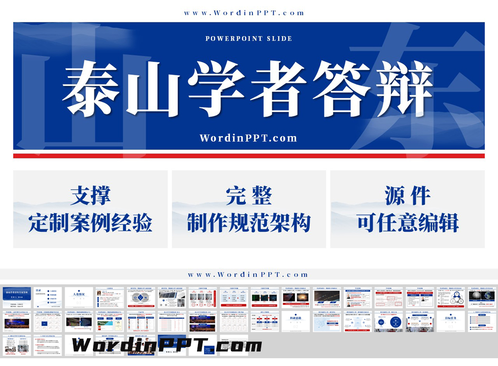 「新」山东泰山学者青年专家答辩ppt模板